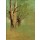 Odilon Redon, Arbres dans la campagne de Peyrelebade