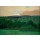 Felix Vallotton, Environs de Lausanne