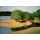 Felix Vallotton, Des sables au bord de la Loire