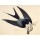 John James Audubon, The swallow-tailed kite