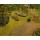 Vincent van Gogh, Garten in Auvers