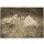 Edward S. Curtis, Unbekannt