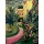 August Macke, Unser Garten mit blühenden Rabatten