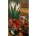 Max Beckmann, Stillleben mit roten Rosen und Butchy
