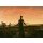 Caspar David Friedrich, Frau vor der untergehenden Sonne