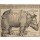 Albrecht Dürer, Rhinozeros