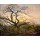 Caspar David Friedrich, Baum mit Raben