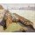 Felix Vallotton, Les chalands, bords de Seine