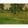 Kurt Schwitters, A S Landschaft 1. Hochsommer