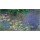 Claude Monet, Le Bassin aux nymphéas sans saules, Matin