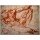 MICHELANGELO BUONARROTI, Liegender männlicher Akt