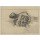Katsushika Hokusai, Chinese lion dog