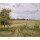 Camille Pissaro, Landscape at Pontoise, 1872