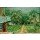 Pierre Bonnard, Blauer Balkon
