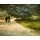 Vincent van Gogh, Paar im Park von Arles: Der Garten des Dichters III.