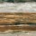 Farnoosh Ashrafi, Earthy Brown