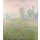 Claude Monet, Meadows in Giverny, 1888