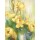 Janusz Remi, Gelbe Tulpen verblüht