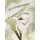 Heidi Gerstner, Weiße Calla
