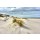 Hady Khandani, HDR - DUNES AT THE BEACH - SPIEKEROOG - GERMANY
