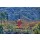 Hady Khandani, HDR - KIYOMIZU TEMPLE - JAPAN 01