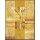 Astrid Heinecke, Capa