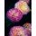 Janet Hesse, Rose