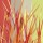 Rod Neer, Blades Of Grass