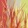 Rod Neer, Blades Of Grass