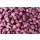Hady Khandani, ONIONS