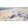 Claus Tegtmeier, Beachline – Westlight
