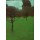 Gustav Klimt, Obstgarten 