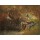 Carl Spitzweg, Der Angler