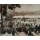 Pierre-Auguste Renoir, Le patinage a Longchamps