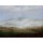 Caspar David Friedrich, Nebel im Elbtal