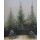 Caspar David Friedrich, Fichtendickicht im Schnee