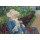 Mary Cassatt, Lydia häkelt im Garten bei Marly