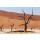 artush, Sossusvlei beautiful landscape of death valley
