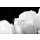 Photocreo Bednarek, Fresh white tulip with water drops close-up on black background.