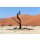 artush, Hidden Vlei in Namib desert
