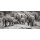 Alta Oosthuizen, Elephant herd calf and mother charge towards water hole