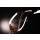 MAURO, glass with red wine on dark background