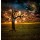 rolffimages, Bulb tree of ideas with surreal space background