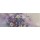 Egle, Asters watercolor