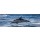 gudkovandrey, Dolphins jump out at high speed out of the water. South Africa. False Bay.