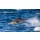 gudkovandrey, Dolphins jump out at high speed out of the water. South Africa. False Bay.