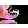 Stefan Körber, Phalaenopsis