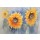 Egle, sunflowers on green background watercolor