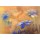 Egle, Blue hepatica on orange background