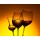 Igor Normann, glasses with red and white wine